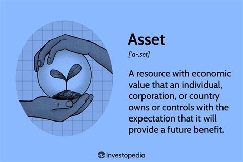 asset 意味: 資産の多様性とその文化的影響